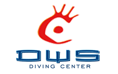 DWS Diving